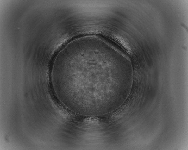 X0000091460354200708231321