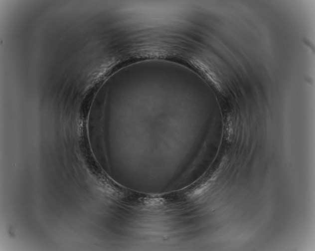 X0000091460355200708231321