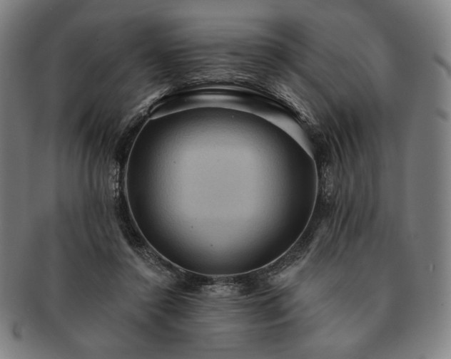 X0000091460356200708231321