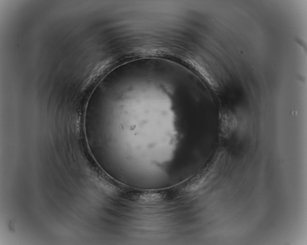 X0000091460357200708231321