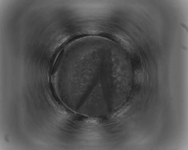 X0000091460358200708231321