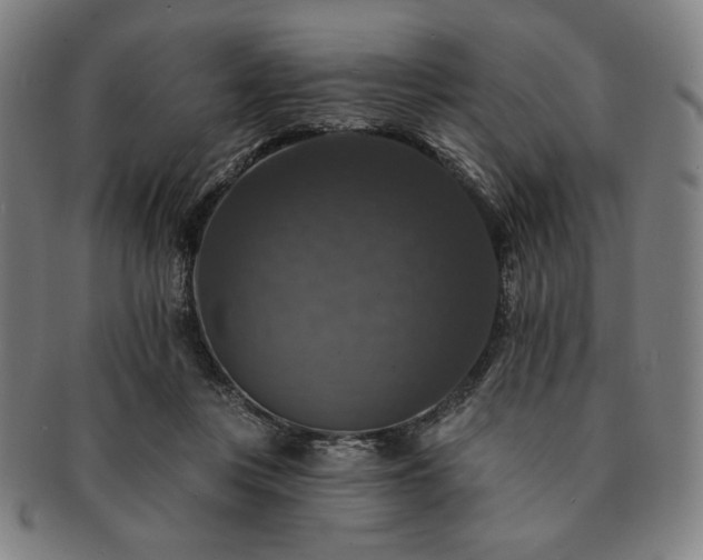 X0000091460359200708231321