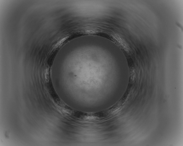 X0000091460360200708231321