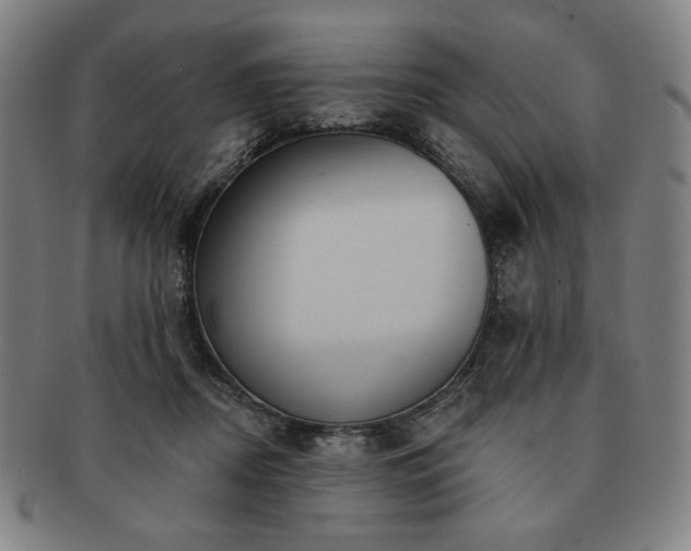 X0000091460362200708231321