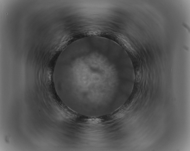 X0000091460363200708231321