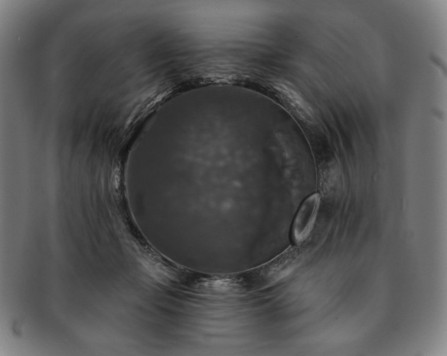 X0000091460365200708231321