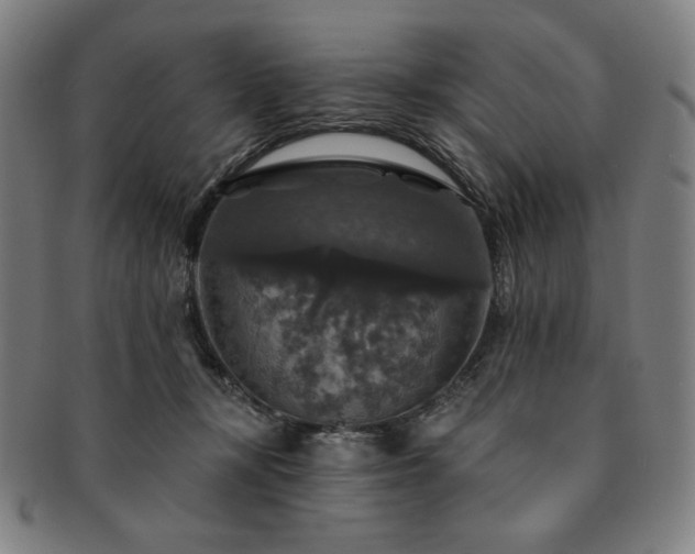 X0000091460367200708231321