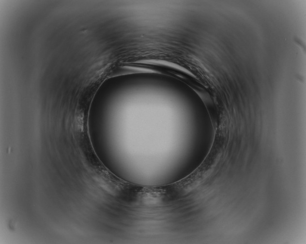 X0000091460368200708231321