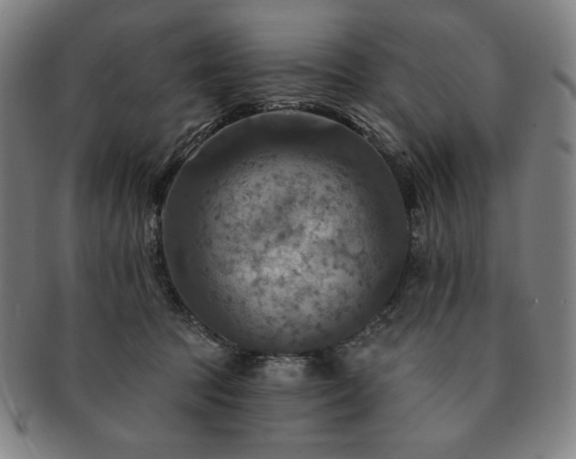 X0000091460369200708231321