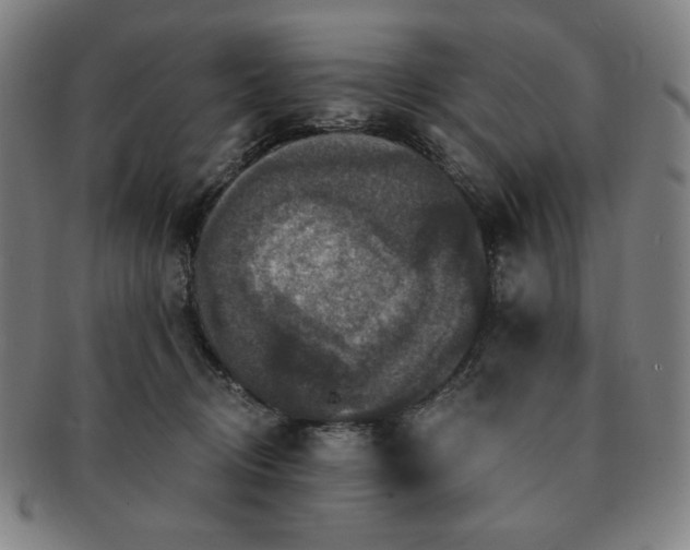 X0000091460370200708231321