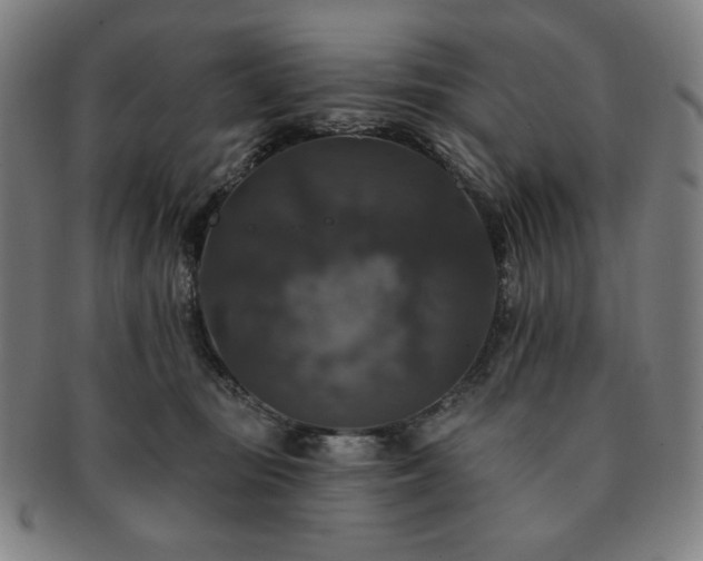 X0000091460371200708231321