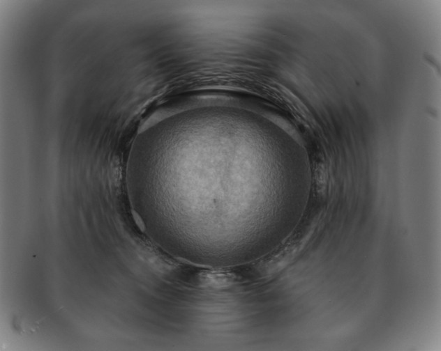 X0000091460372200708231321