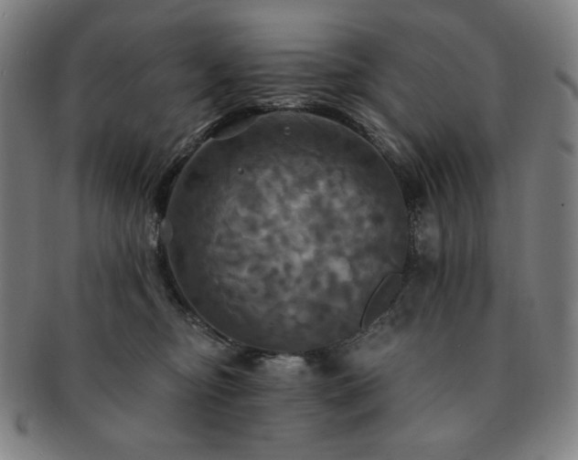 X0000091460374200708231321