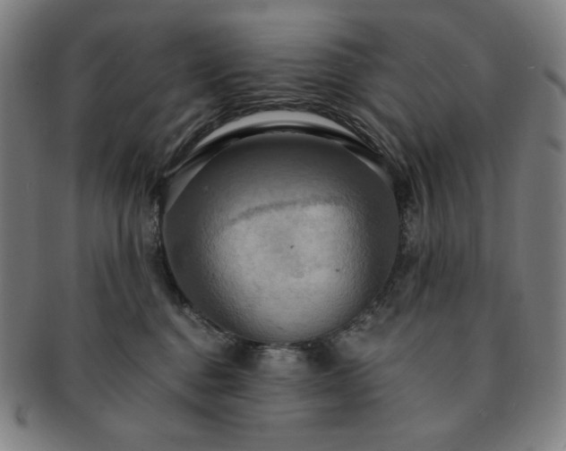 X0000091460376200708231321