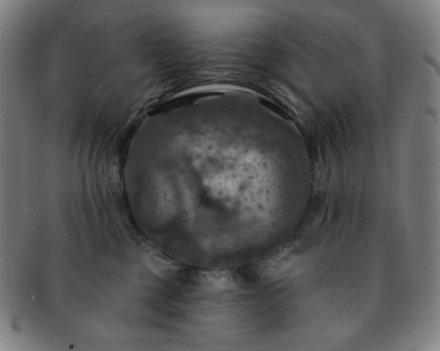 X0000091460377200708231322