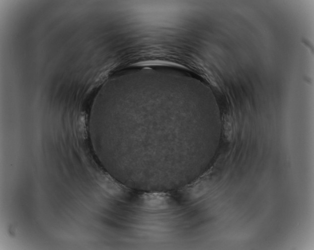 X0000091460378200708231322