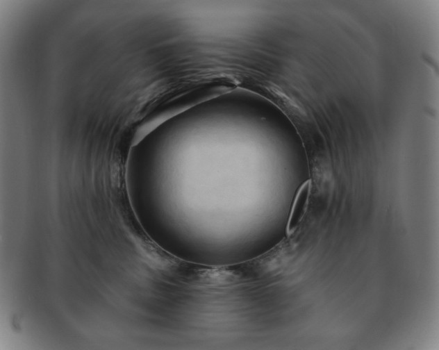 X0000091460379200708231322