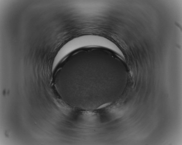 X0000091460380200708231322