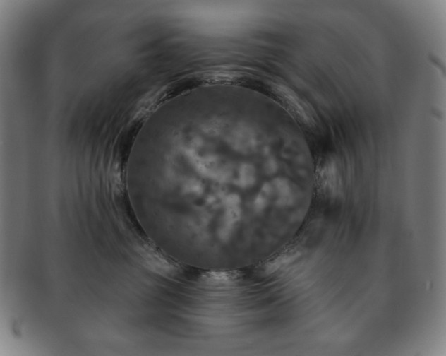 X0000091460381200708231322