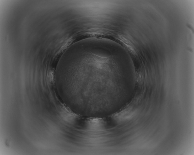 X0000091460382200708231322