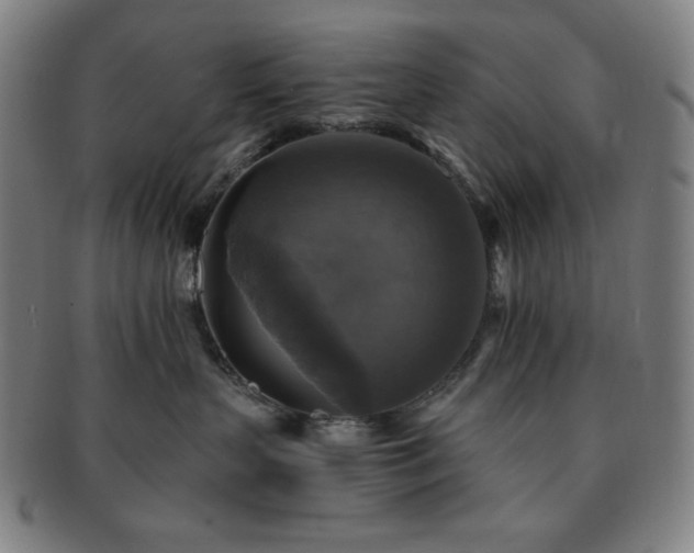 X0000091460383200708231322