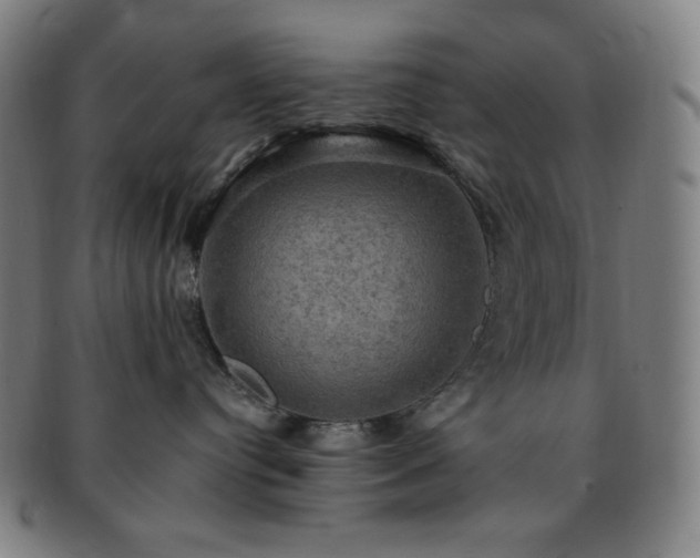 X0000091460384200708231322