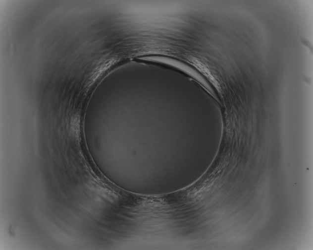 X0000091460386200708231321