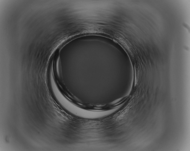 X0000091460387200708231321