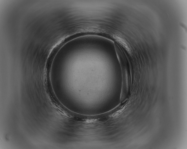 X0000091460388200708231321