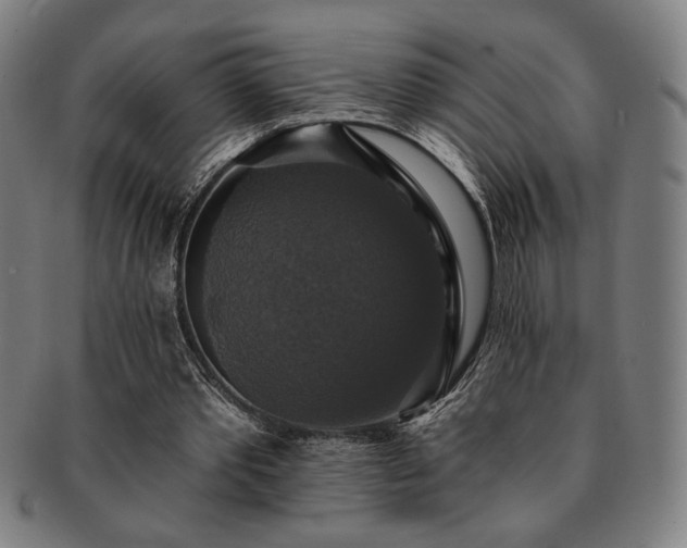 X0000091460389200708231321