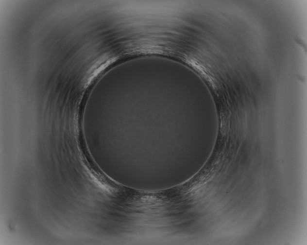 X0000091460390200708231321