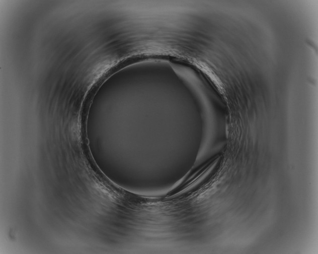 X0000091460391200708231321