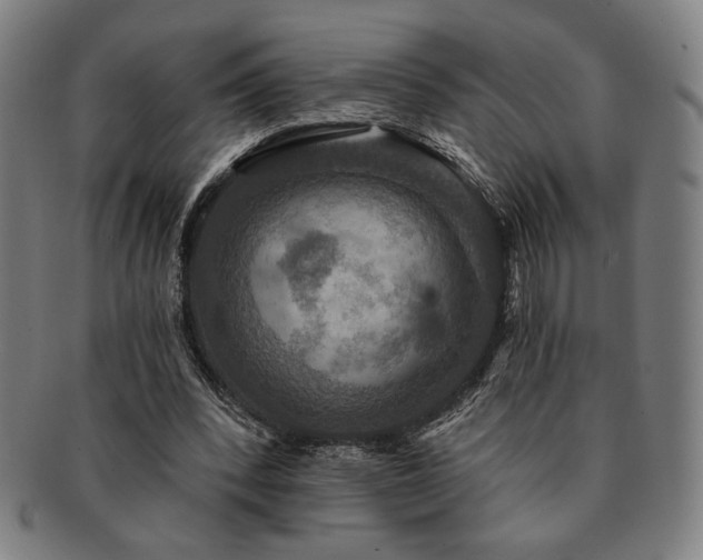 X0000091460392200708231321