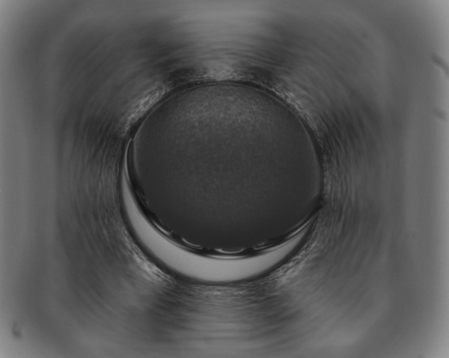 X0000091460393200708231321