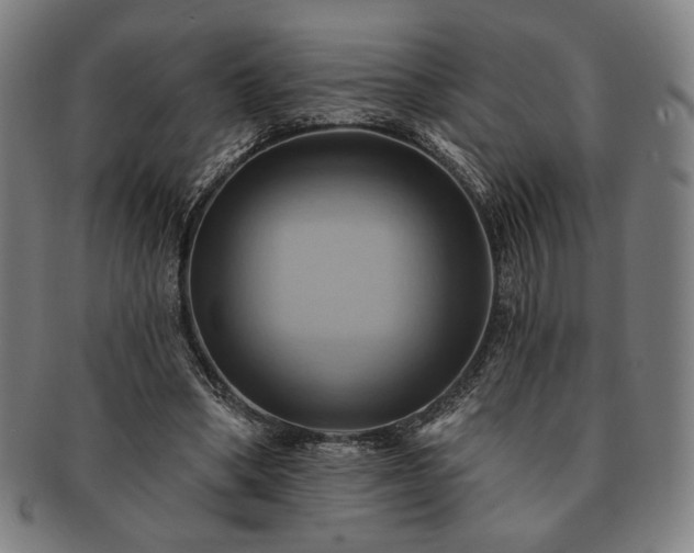 X0000091460394200708231321