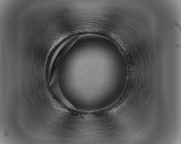 X0000091460395200708231321