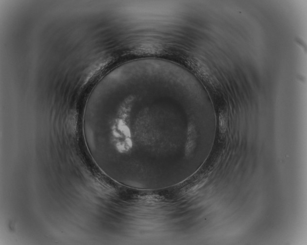 X0000091460396200708231321