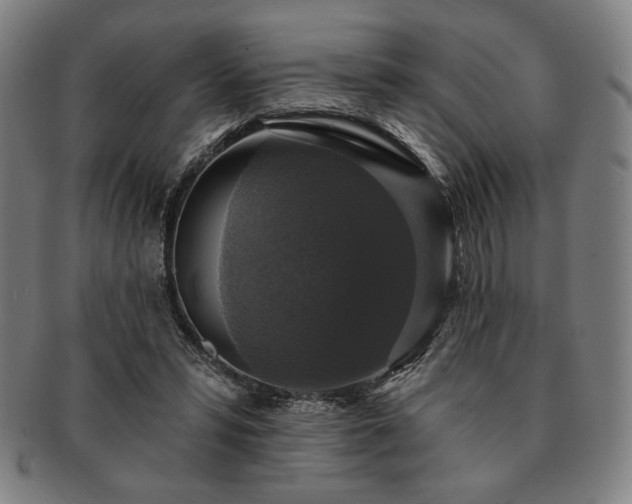 X0000091460399200708231321