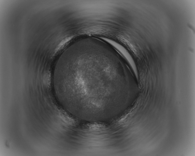 X0000091460400200708231321