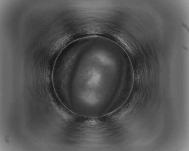 X0000091460402200708231321