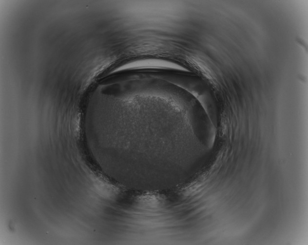 X0000091460404200708231321