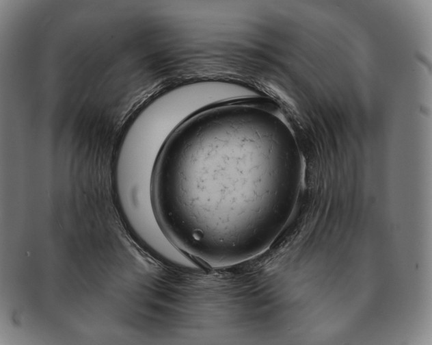 X0000091460405200708231321