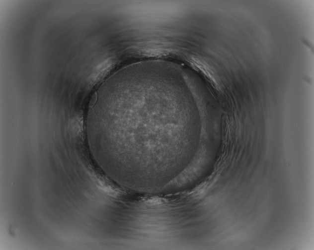 X0000091460407200708231321