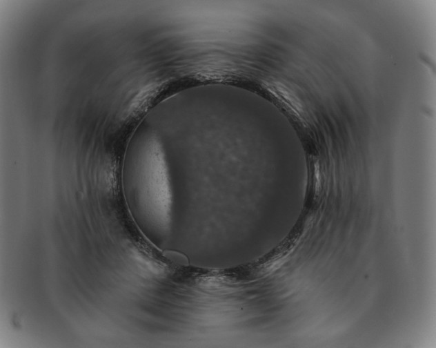 X0000091460408200708231321