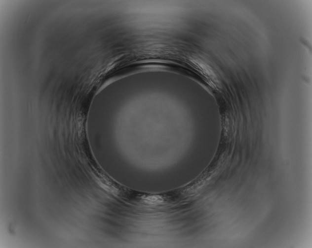 X0000091460409200708231321