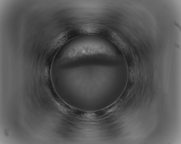 X0000091460410200708231321