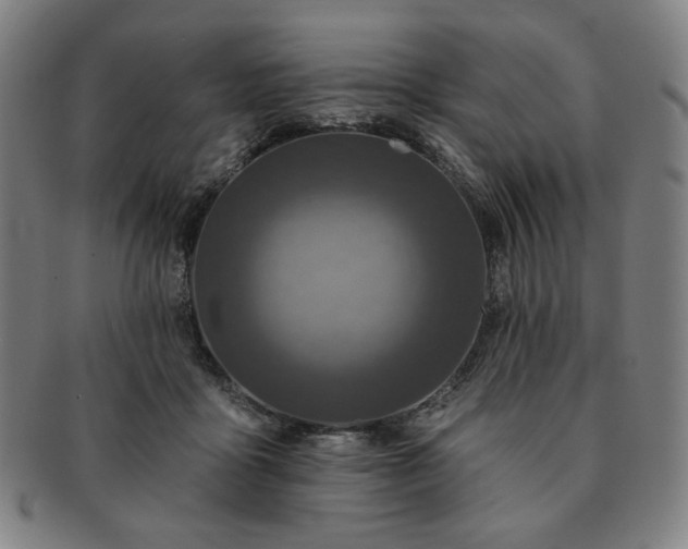 X0000091460411200708231321