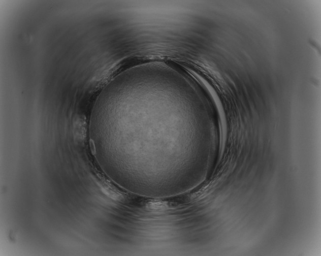 X0000091460413200708231321