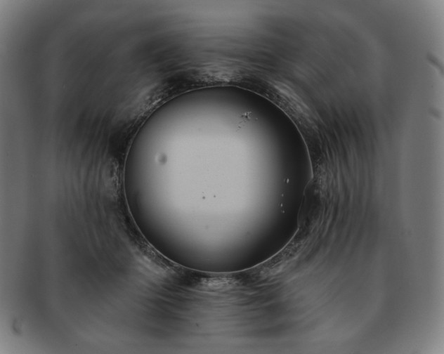 X0000091460414200708231321