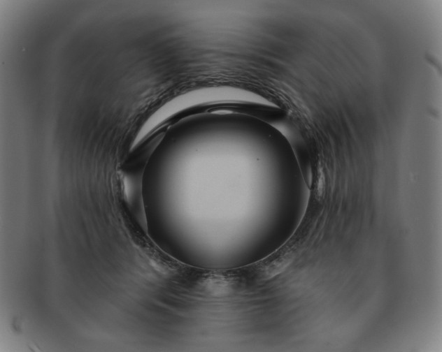 X0000091460416200708231321